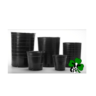 Soplada 500 ML