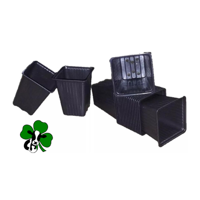 Maceta de plastico cuadrada 7.3 cm