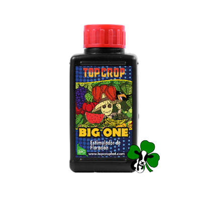 Top Big One 100 Ml