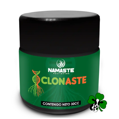 Clonaste 30 cc - Esquejes