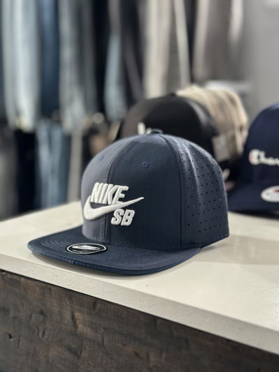 VISERA PLANA NIKE SB 