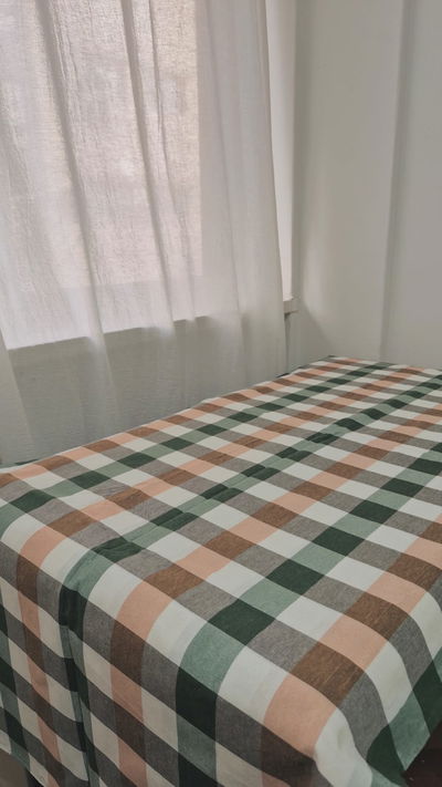Mantel picnic verde 250x150