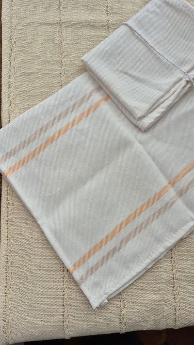 Paños economicos x2