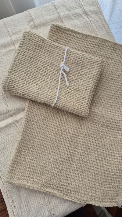 Paños economicos x2