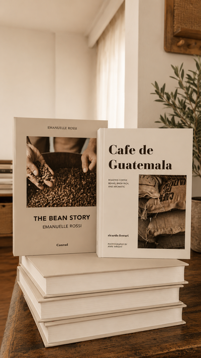 Set de Libros Caja Decorativos x2