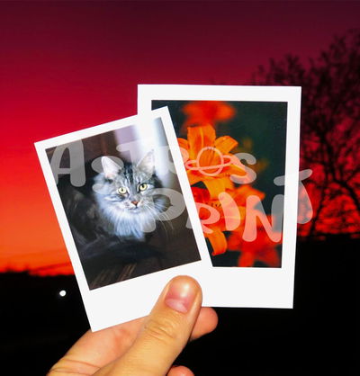 Pack polaroid medianas (8 unidades)