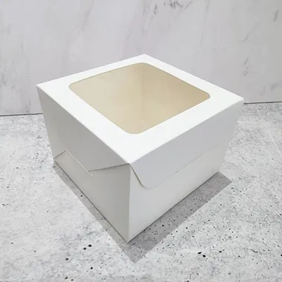 Caja Visor 17x17x10