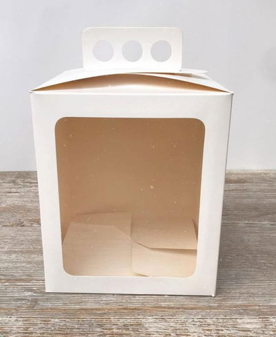 Maletin Visor 17x17x20