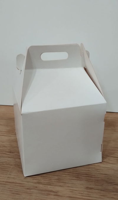 Valija 12x12x10