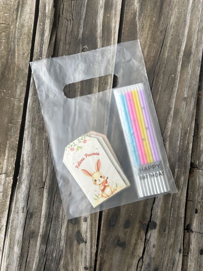 Bolsas Riñón Transparente o Translúcida Varias Medidas