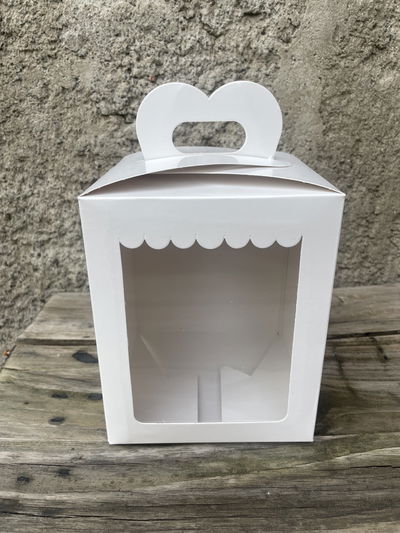 Maletín Visor 14,5x14,5x17,5