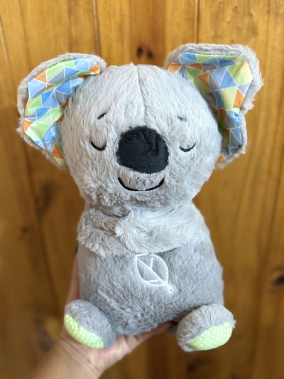 Peluche Koala 🐨