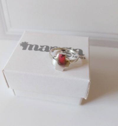 Anillo Cruz