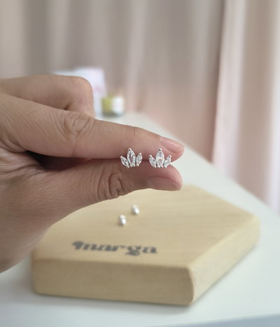 Aros Princesa 