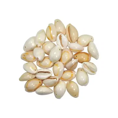 BUZIOS CERRADOS X 1