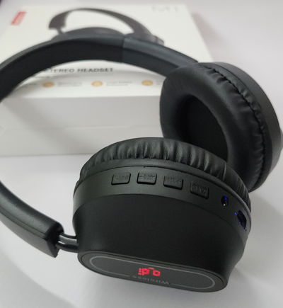 AURICULAR MODS-702