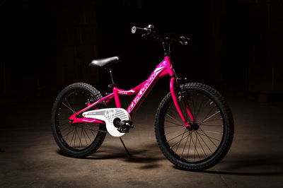 BICICLETA ENRIQUE R.20 EXPLORER ATLAS FUCSIA