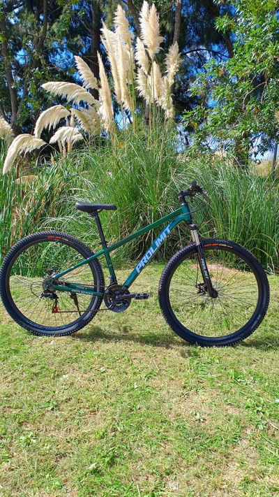 BICICLETA PROLIMIT IRON 1 VERDE INGLES T. 17