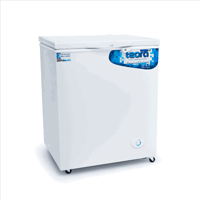 FREEZER 250 LTS TEORA
