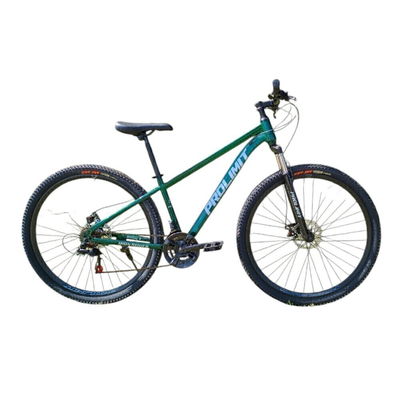 BICICLETA PROLIMIT IRON R29 VERDE T. 19