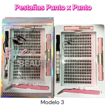 Pestaña Punto x Punto Modelo 3