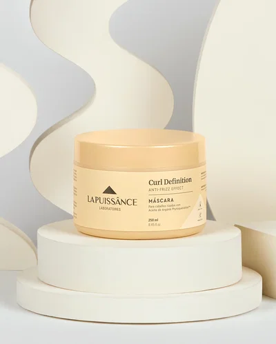 MASCARA HIDRONUTRITIVA DE RULOS X 250 ML LAPUISSANCE