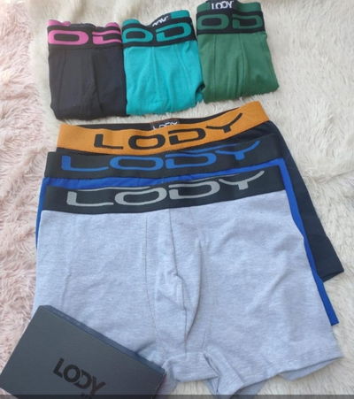 Lody liso