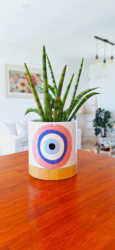 Maceta De Cerámica y Bamboo Eye Rose