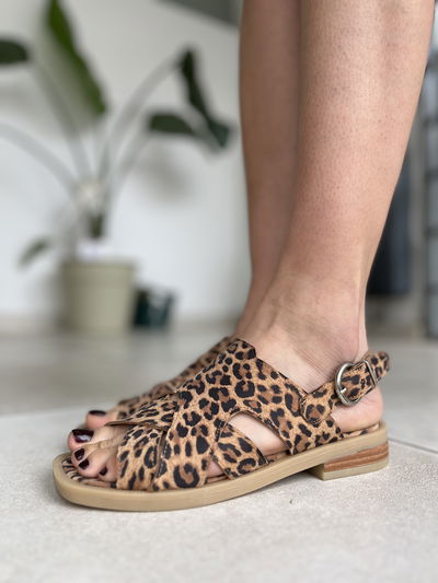 Cata - Print