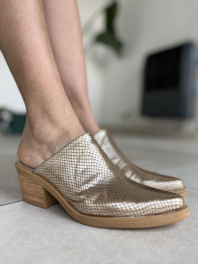 Agata - Platino