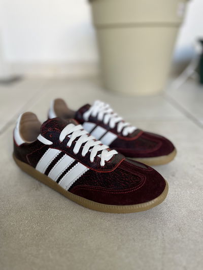 Kima - Bordo
