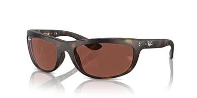 RB Balorama 4089