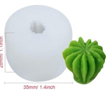 COMBO MOLDES SILICONA  SUCULENTAS 