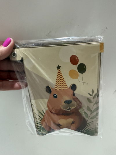 Capibara Banner Decorativo 