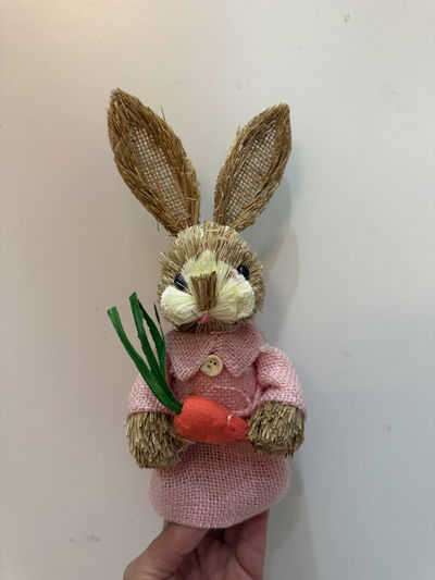 Pascuas Conejo Decorativo 22 cm Modelo Zanahoria Camisa y Patalon Rosa 22 cm 