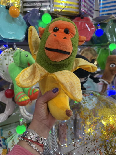 Chimpanzini Bananini 