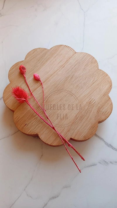 MADERA DE APOYO CAROL