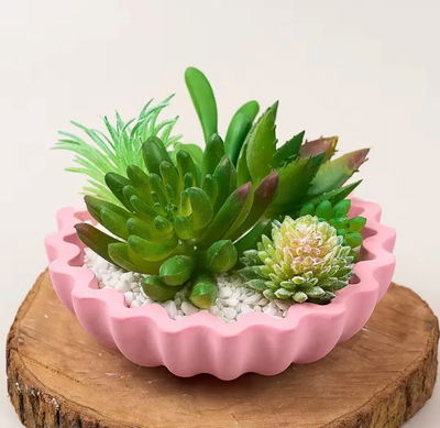 Molde recipiente irregular