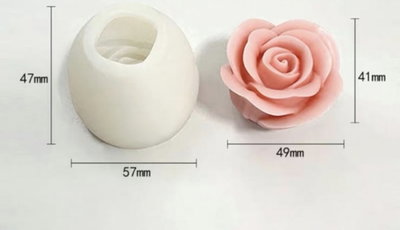 Rosa abierta