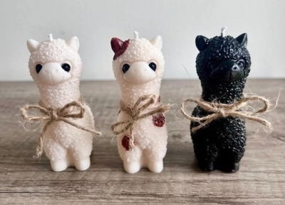 Molde llama