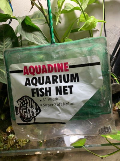 Red Grande para Peces