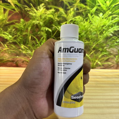 Seachem Amguard 100ml