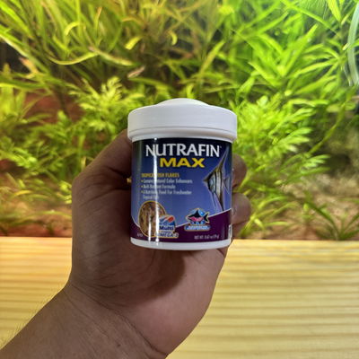 Nutrafin Tropical Escamas 19gr