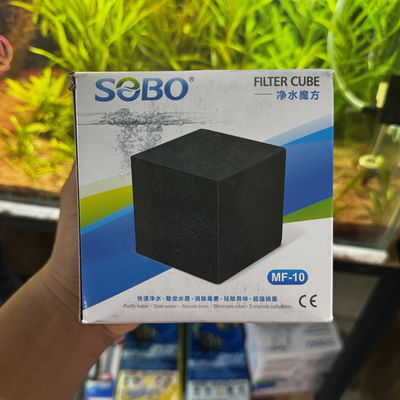 Cubo filtrante de Carbon Activo Sobo