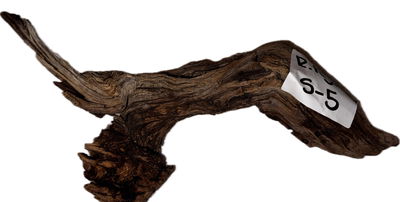 Raiz Roja Modelo S-5