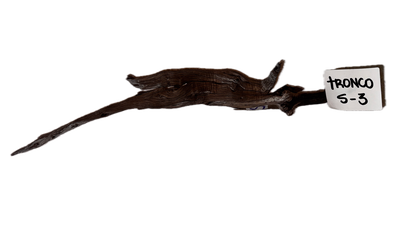 Tronco Modelo S-3