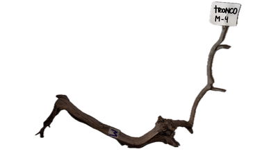 Tronco Modelo M-4