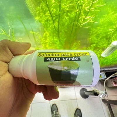 Solucion para Agua Verde Rem 125cc 