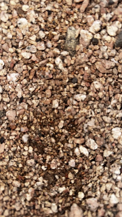 Grava Gruesa Hueso xKg