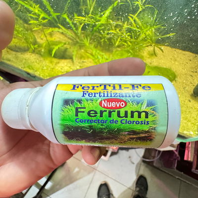 Fértil Fe Rem 125cc